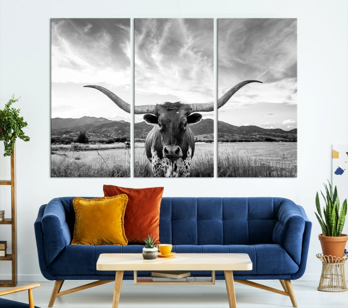 Big Horn of Cow Wall Art Canvas Print