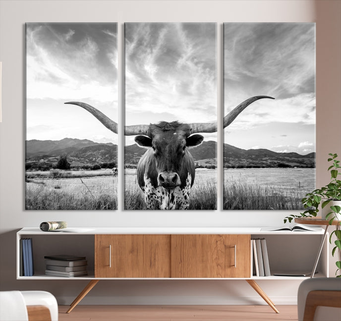 Big Horn of Cow Wall Art Canvas Print