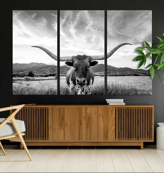 Big Horn of Cow Wall Art Canvas Print