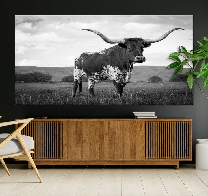 Black and White Big Horn Texas Cow Canvas Wall Art Print Animal Picture