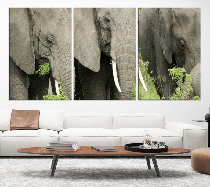 Three Elephant Wild Animal Wall Art Canvas Print Framed Piece Ready to Hang