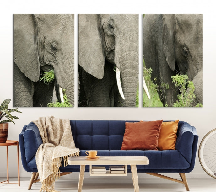 Three Elephant Wild Animal Wall Art Canvas Print Framed Piece Ready to Hang