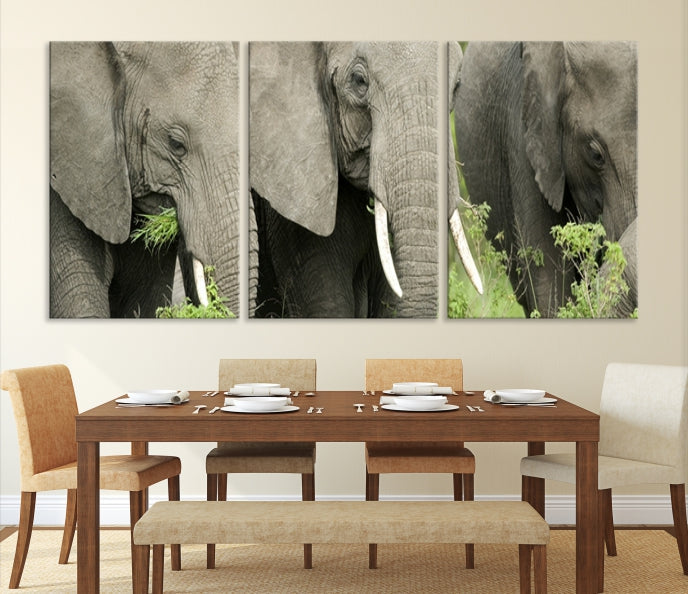 Three Elephant Wild Animal Wall Art Canvas Print Framed Piece Ready to Hang