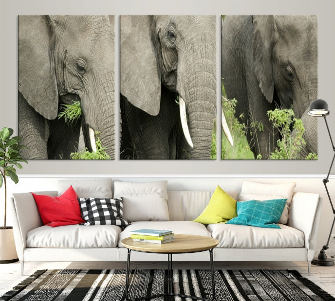 Three Elephant Wild Animal Wall Art Canvas Print Framed Piece Ready to Hang