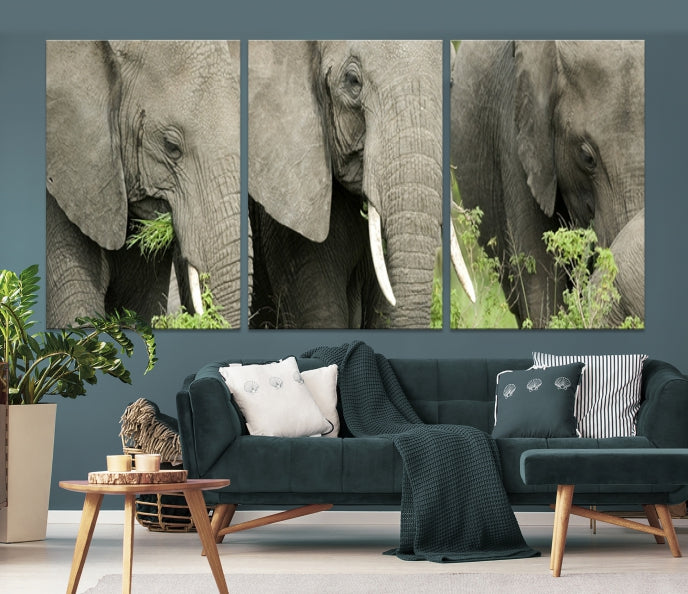 Three Elephant Wild Animal Wall Art Canvas Print Framed Piece Ready to Hang