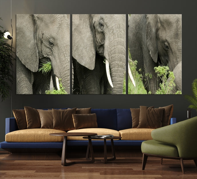 Three Elephant Wild Animal Wall Art Canvas Print Framed Piece Ready to Hang