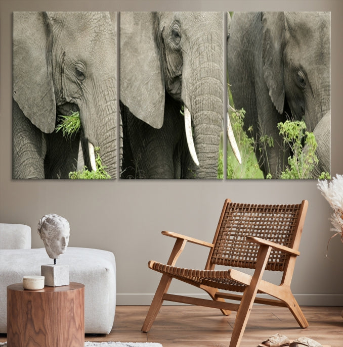 Three Elephant Wild Animal Wall Art Canvas Print Framed Piece Ready to Hang