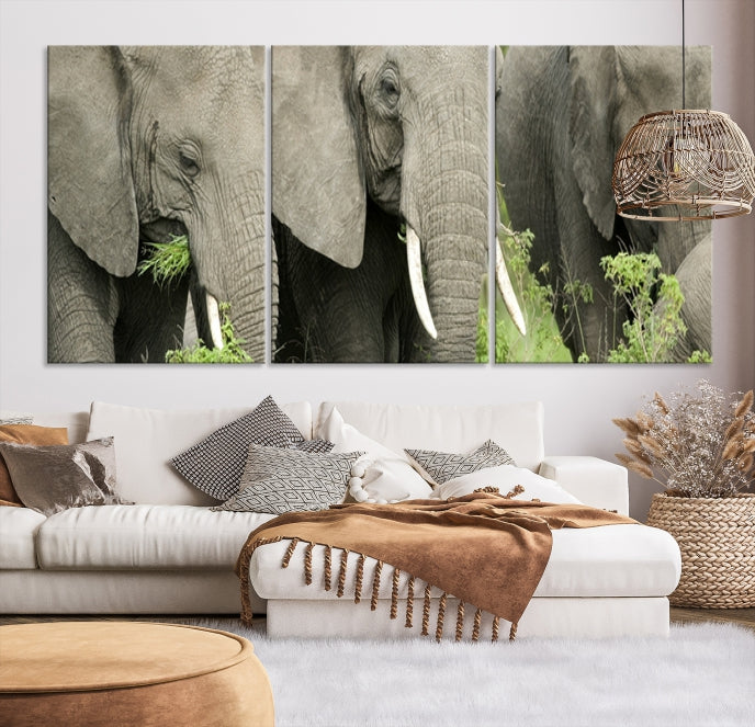 Three Elephant Wild Animal Wall Art Canvas Print Framed Piece Ready to Hang