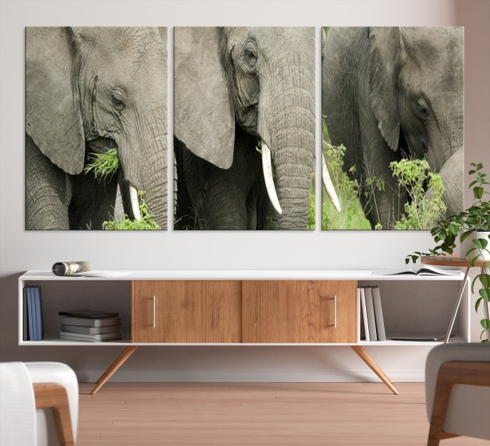 Three Elephant Wild Animal Wall Art Canvas Print Framed Piece Ready to Hang