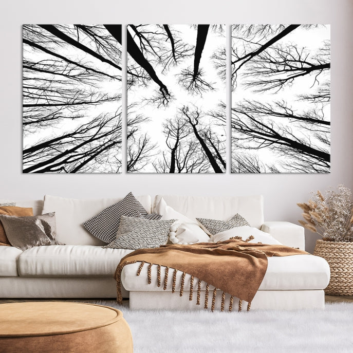 Tree Branches Extending to the Sky Large Wall Art Landscape Canvas Print