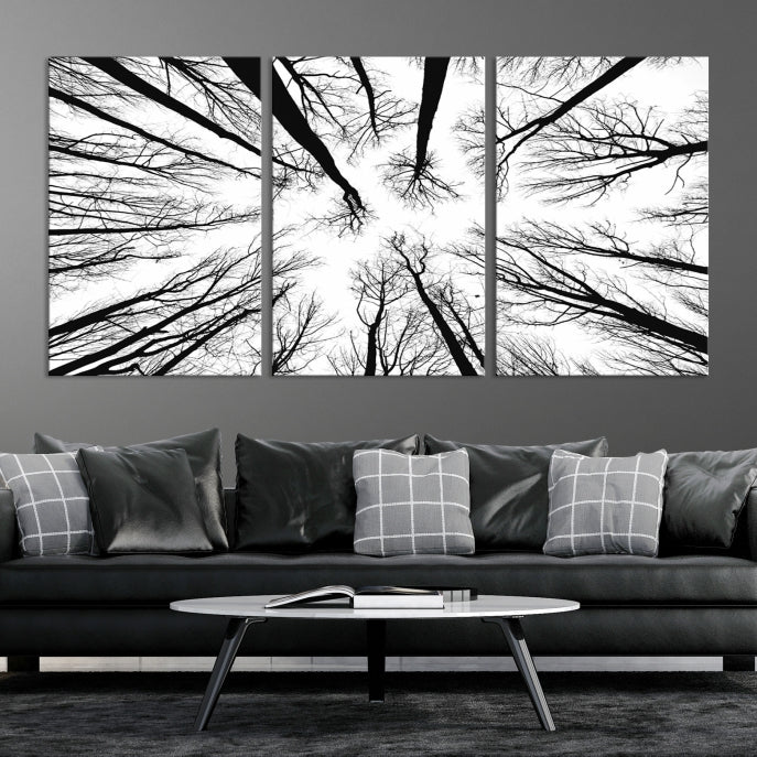 Tree Branches Extending to the Sky Large Wall Art Landscape Canvas Print