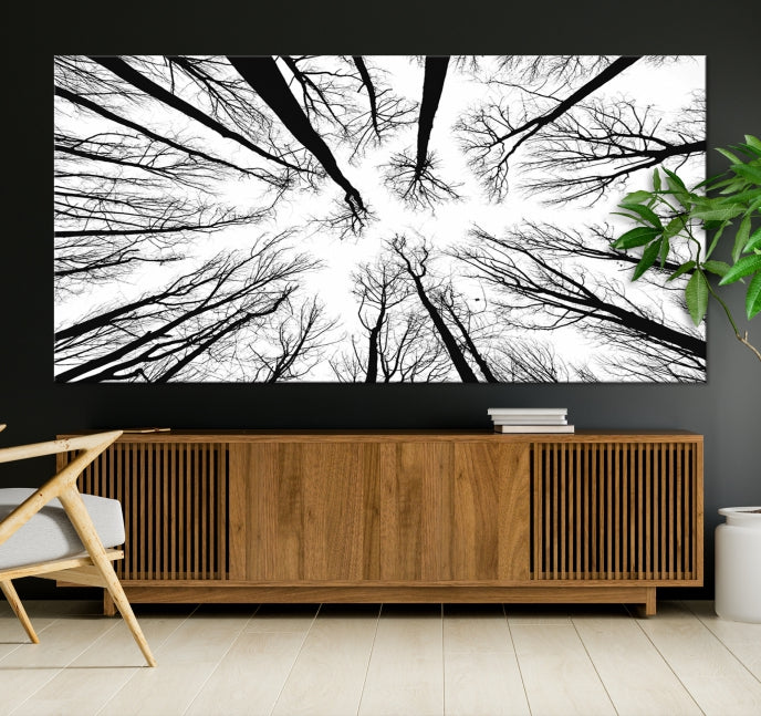 Tree Branches Extending to the Sky Large Wall Art Landscape Canvas Print