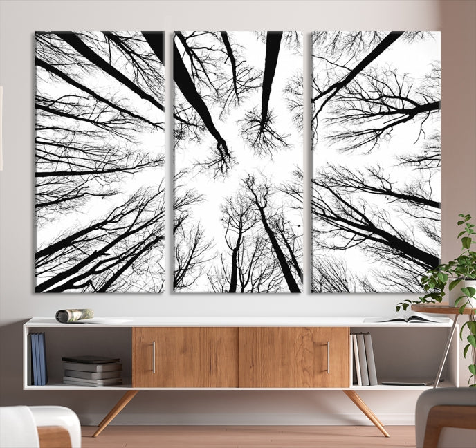 Tree Branches Extending to the Sky Large Wall Art Landscape Canvas Print