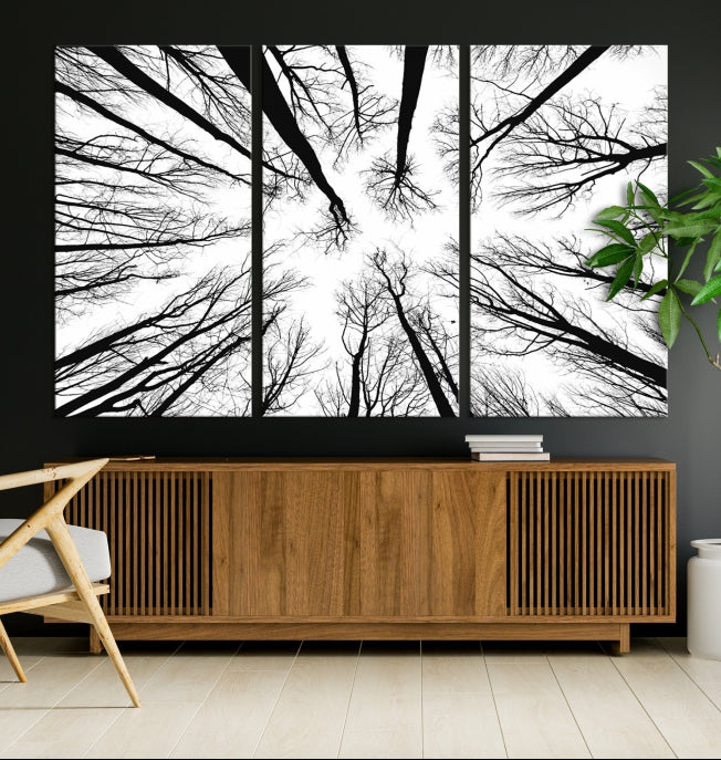 Tree Branches Extending to the Sky Large Wall Art Landscape Canvas Print