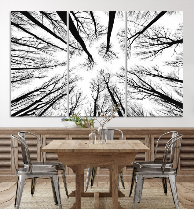 Tree Branches Extending to the Sky Large Wall Art Landscape Canvas Print