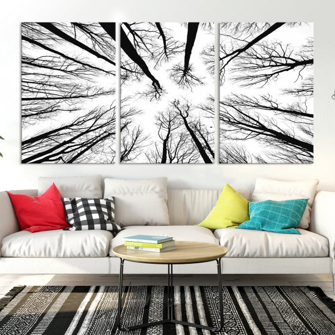 Tree Branches Extending to the Sky Large Wall Art Landscape Canvas Print