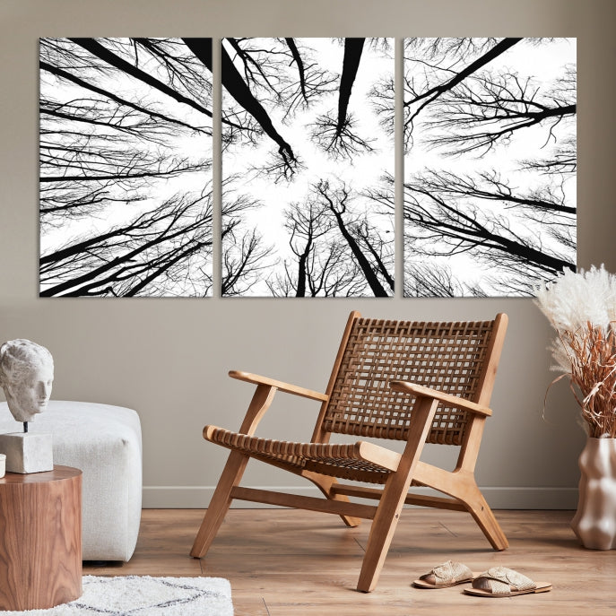 Tree Branches Extending to the Sky Large Wall Art Landscape Canvas Print