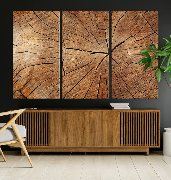 Tree Ring Wall Art | Wood Grain Canvas Print | Natural Rustic Tree Trunk Art for Living Room, Office, or Cabin Decor