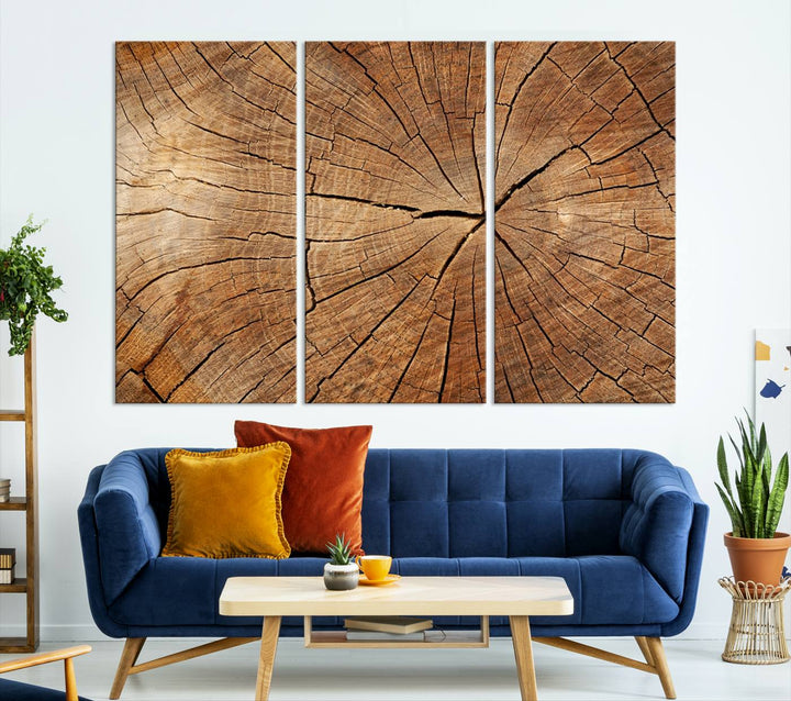 Tree Ring Wall Art | Wood Grain Canvas Print | Natural Rustic Tree Trunk Art for Living Room, Office, or Cabin Decor