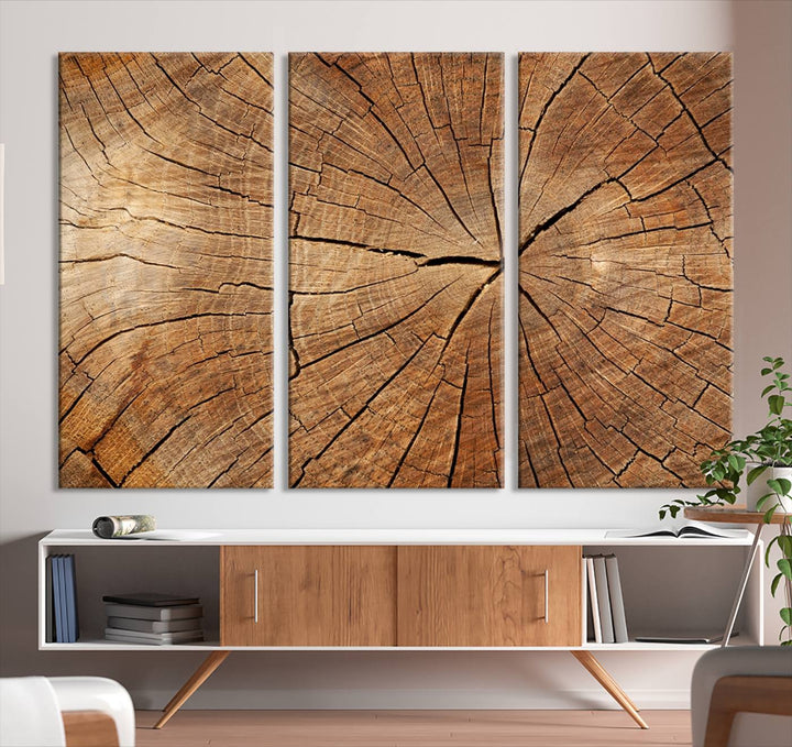 Tree Ring Wall Art | Wood Grain Canvas Print | Natural Rustic Tree Trunk Art for Living Room, Office, or Cabin Decor