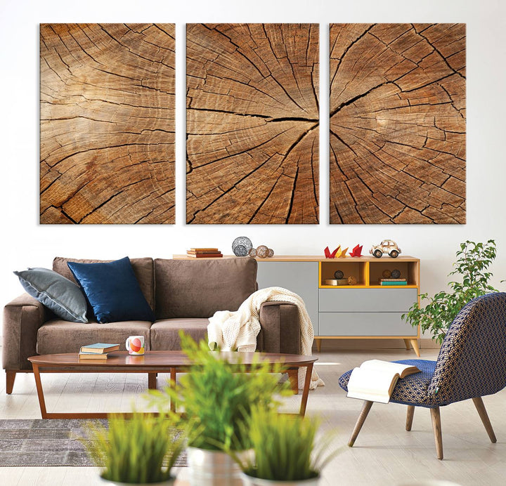 Tree Ring Wall Art | Wood Grain Canvas Print | Natural Rustic Tree Trunk Art for Living Room, Office, or Cabin Decor