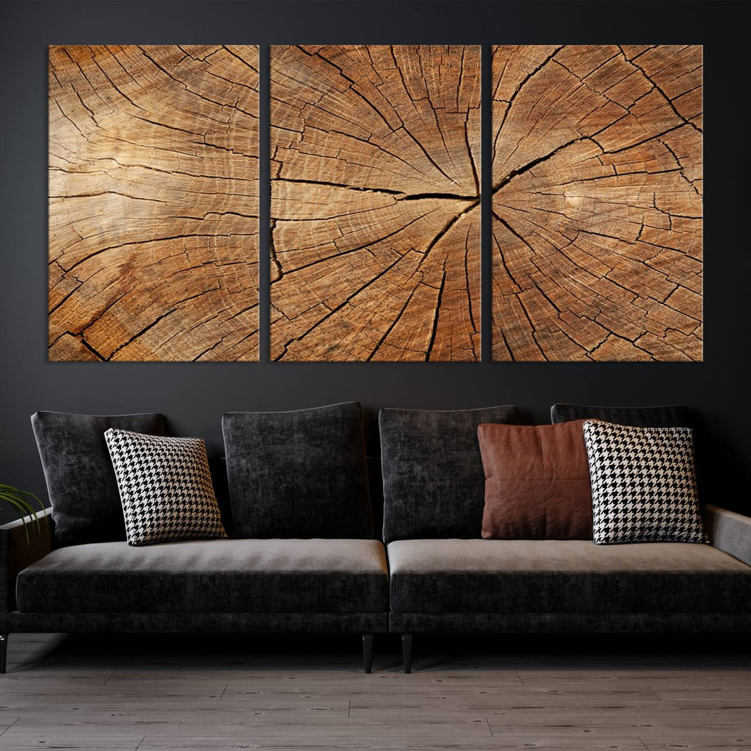 Tree Ring Wall Art | Wood Grain Canvas Print | Natural Rustic Tree Trunk Art for Living Room, Office, or Cabin Decor