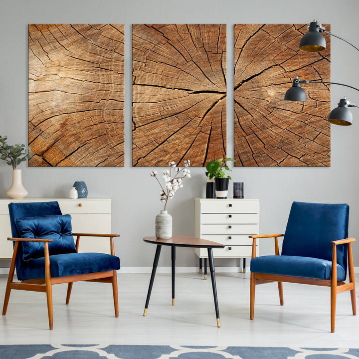 Tree Ring Wall Art | Wood Grain Canvas Print | Natural Rustic Tree Trunk Art for Living Room, Office, or Cabin Decor