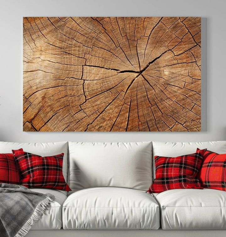 Tree Ring Wall Art | Wood Grain Canvas Print | Natural Rustic Tree Trunk Art for Living Room, Office, or Cabin Decor