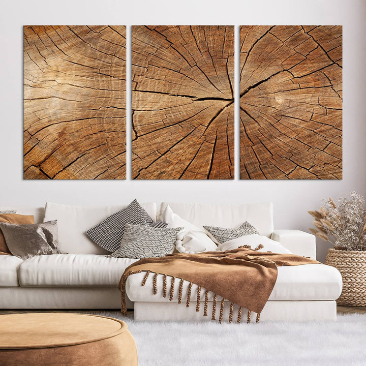 Tree Ring Wall Art | Wood Grain Canvas Print | Natural Rustic Tree Trunk Art for Living Room, Office, or Cabin Decor