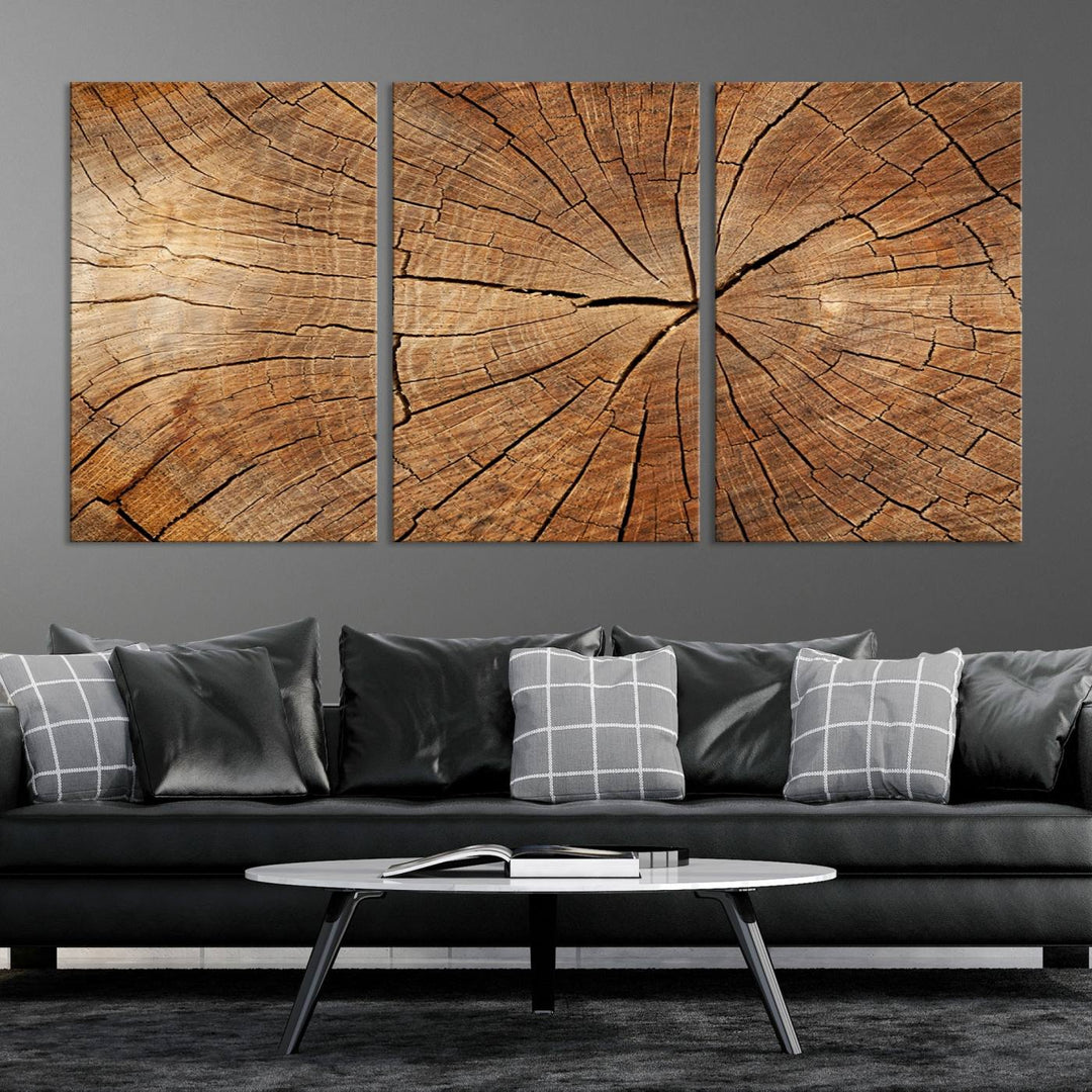 Tree Ring Wall Art | Wood Grain Canvas Print | Natural Rustic Tree Trunk Art for Living Room, Office, or Cabin Decor