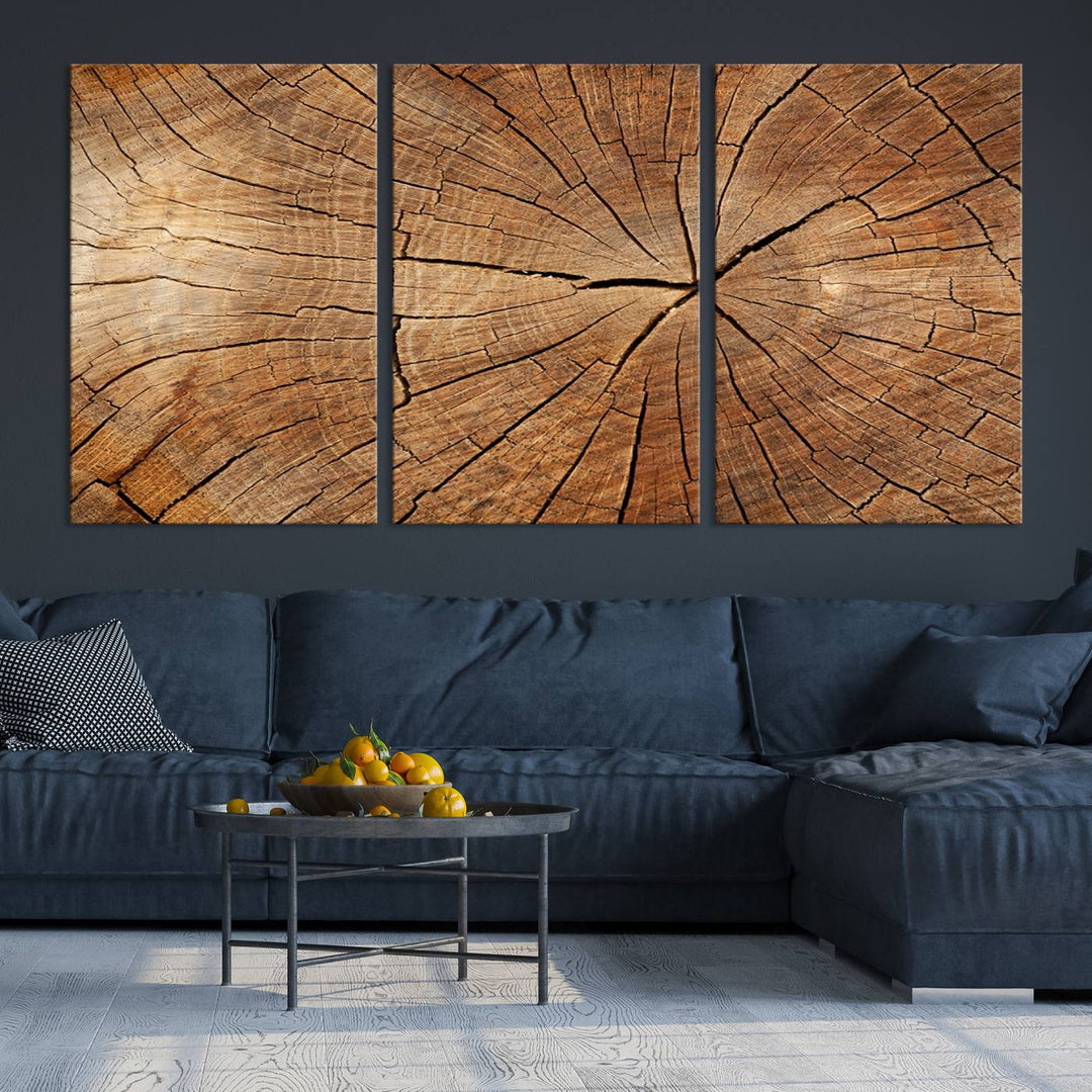 Tree Ring Wall Art | Wood Grain Canvas Print | Natural Rustic Tree Trunk Art for Living Room, Office, or Cabin Decor