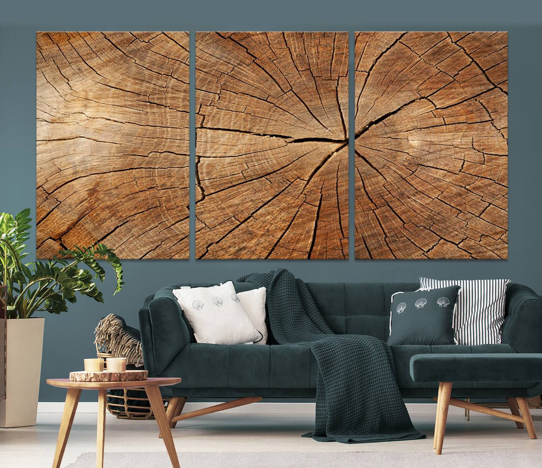 Tree Ring Wall Art | Wood Grain Canvas Print | Natural Rustic Tree Trunk Art for Living Room, Office, or Cabin Decor