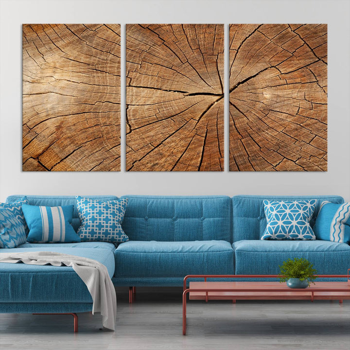 Tree Ring Wall Art | Wood Grain Canvas Print | Natural Rustic Tree Trunk Art for Living Room, Office, or Cabin Decor