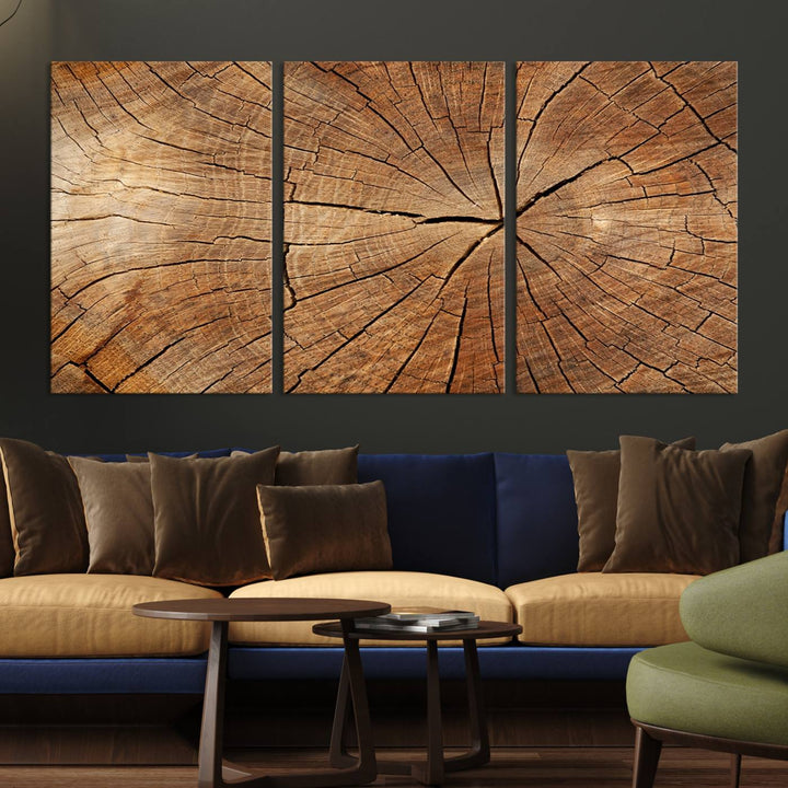 Tree Ring Wall Art | Wood Grain Canvas Print | Natural Rustic Tree Trunk Art for Living Room, Office, or Cabin Decor