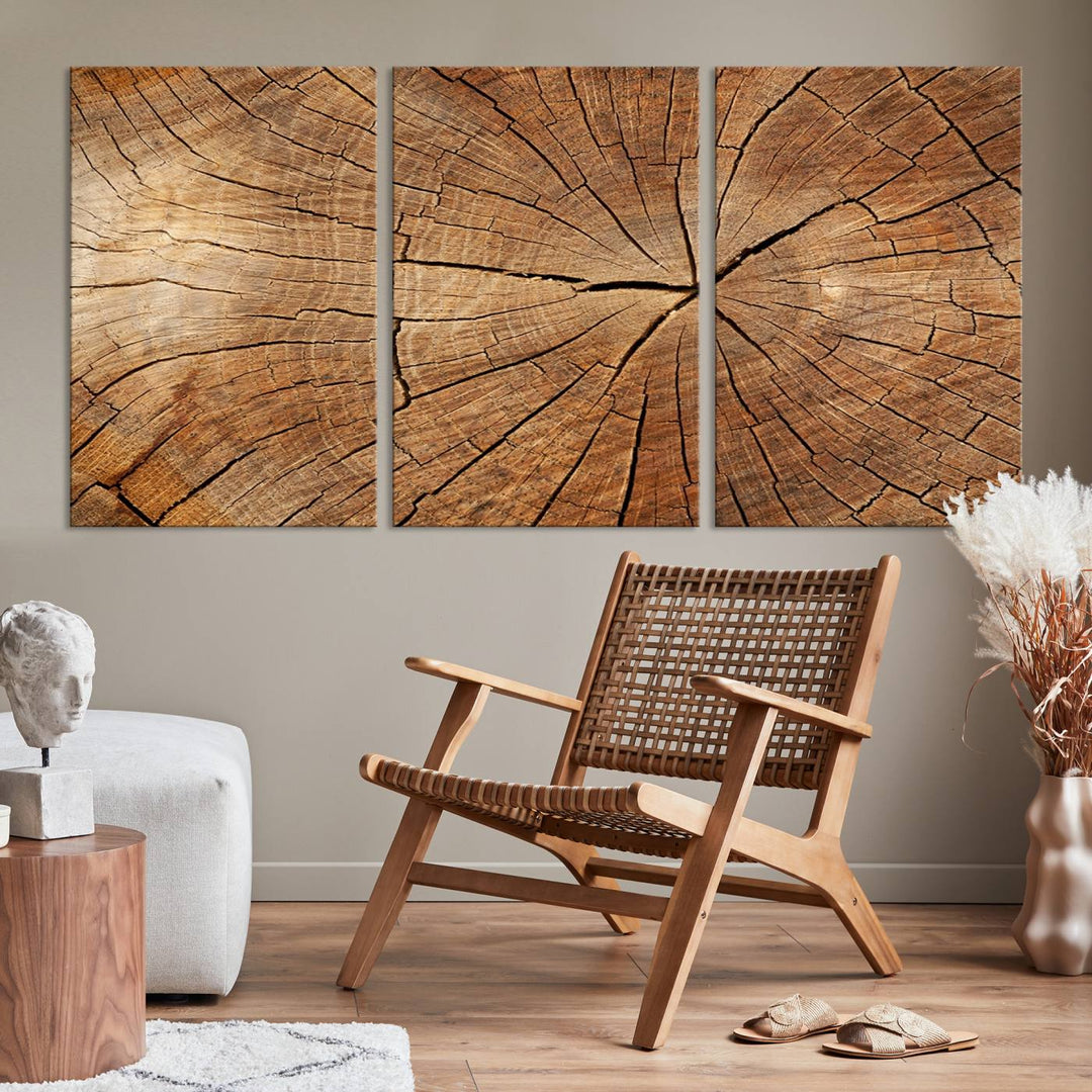 Tree Ring Wall Art | Wood Grain Canvas Print | Natural Rustic Tree Trunk Art for Living Room, Office, or Cabin Decor