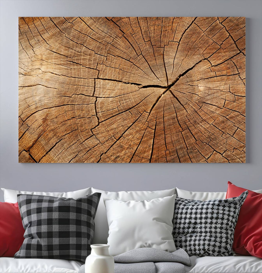 Tree Ring Wall Art | Wood Grain Canvas Print | Natural Rustic Tree Trunk Art for Living Room, Office, or Cabin Decor