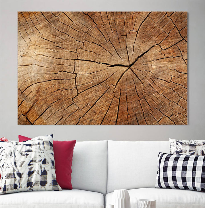 Tree Ring Wall Art | Wood Grain Canvas Print | Natural Rustic Tree Trunk Art for Living Room, Office, or Cabin Decor