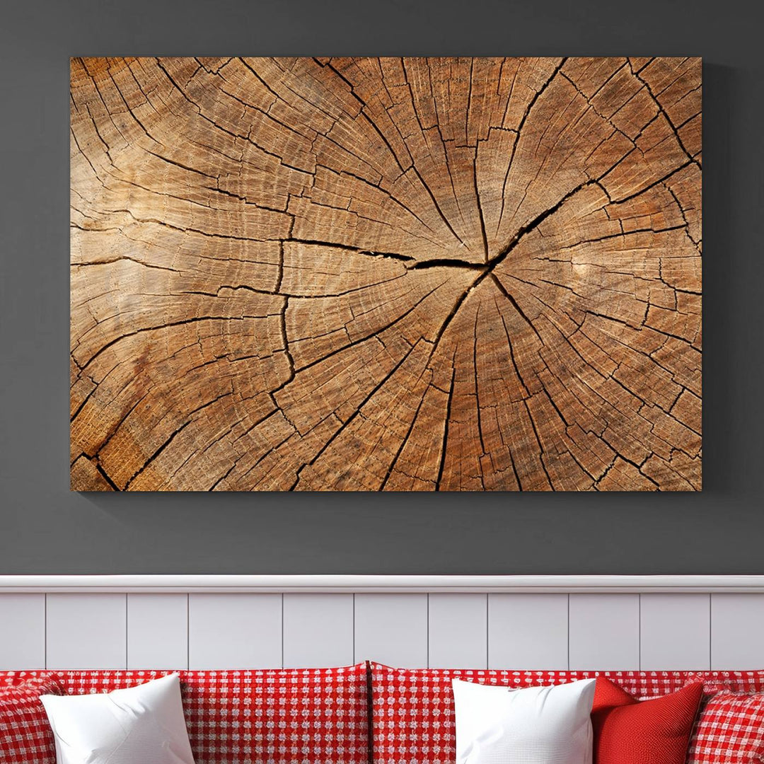 Tree Ring Wall Art | Wood Grain Canvas Print | Natural Rustic Tree Trunk Art for Living Room, Office, or Cabin Decor