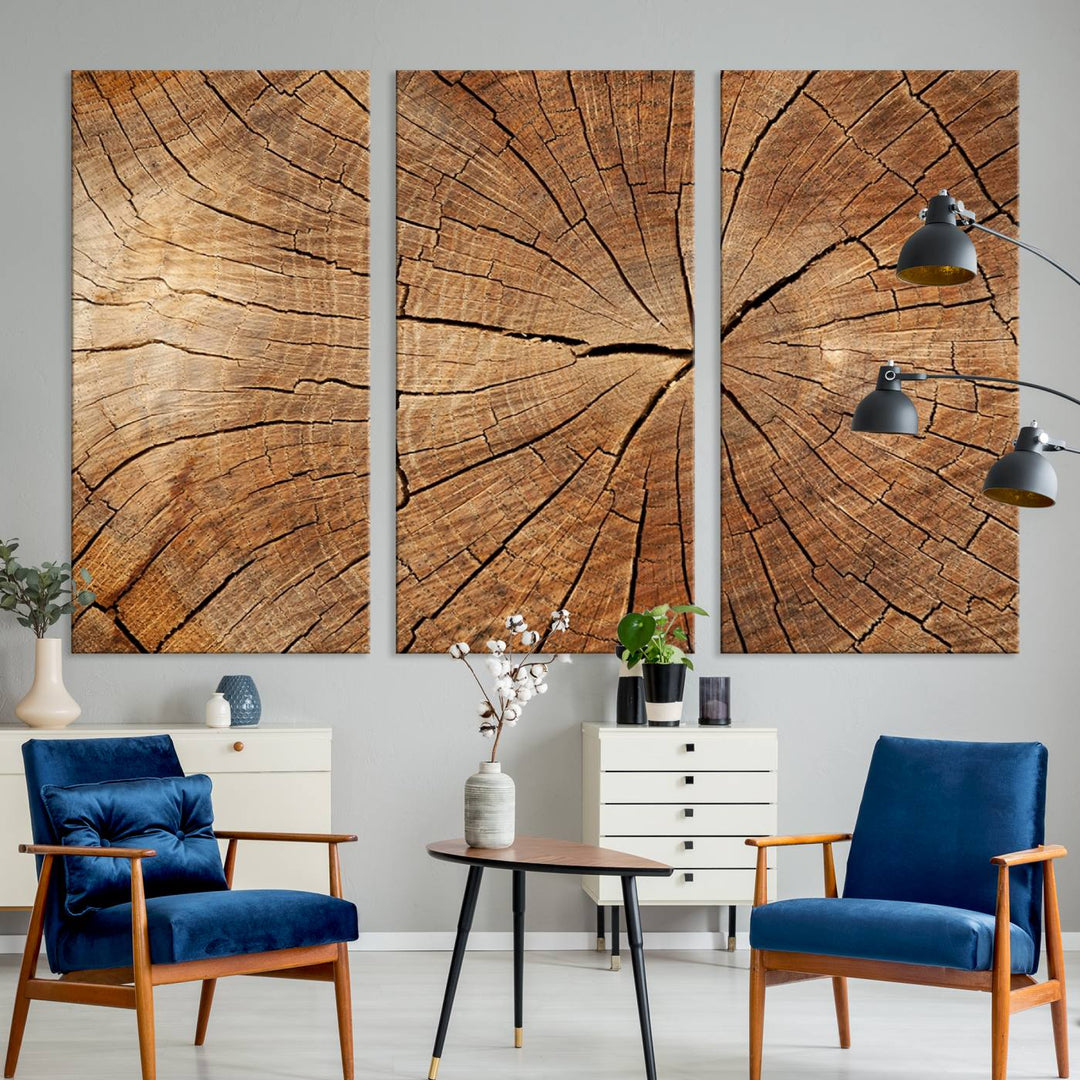 Tree Ring Wall Art | Wood Grain Canvas Print | Natural Rustic Tree Trunk Art for Living Room, Office, or Cabin Decor