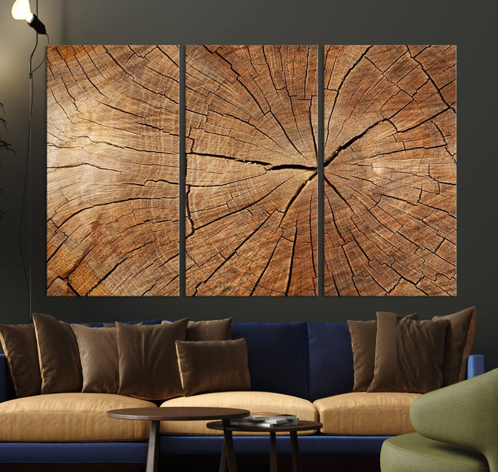 Tree Ring Wall Art | Wood Grain Canvas Print | Natural Rustic Tree Trunk Art for Living Room, Office, or Cabin Decor