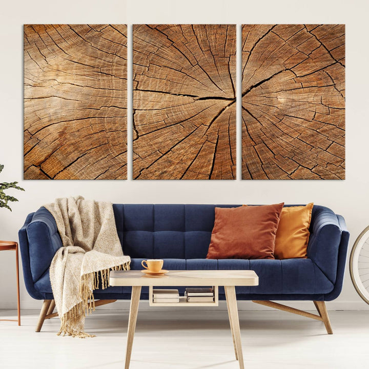 Tree Ring Wall Art | Wood Grain Canvas Print | Natural Rustic Tree Trunk Art for Living Room, Office, or Cabin Decor