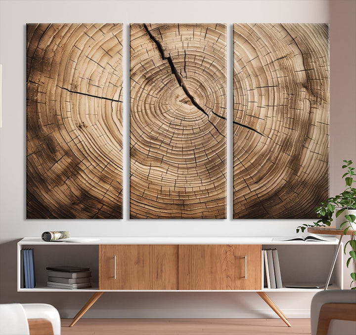 Tree Trunk Canvas Wall Decor for New Home, Extra Large Wall Art Canvas Print, Brown Art for Living Room