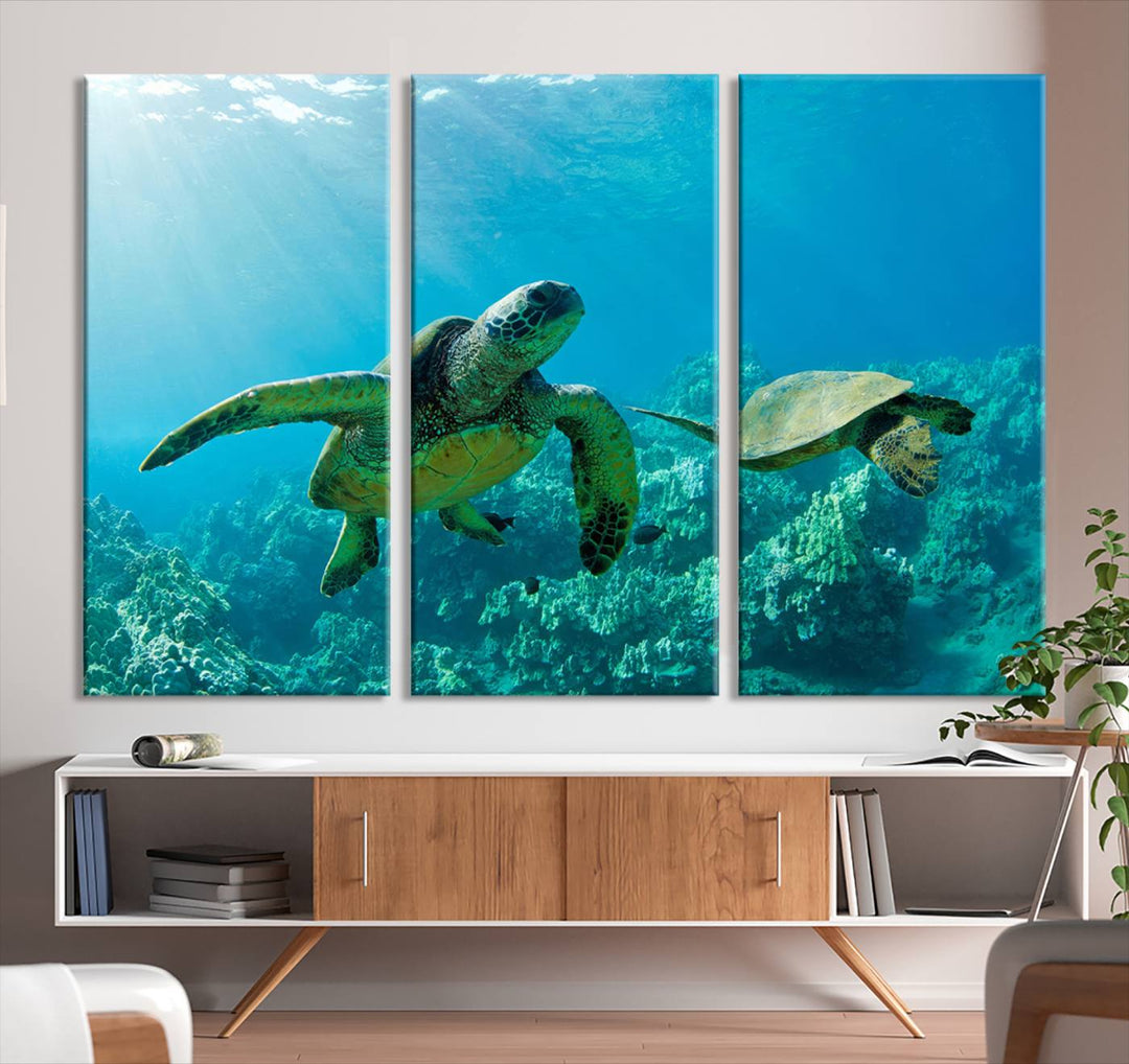 Two Beautiful Sea turtle Wall Art Canvas Print, Ocean Wild Life Print