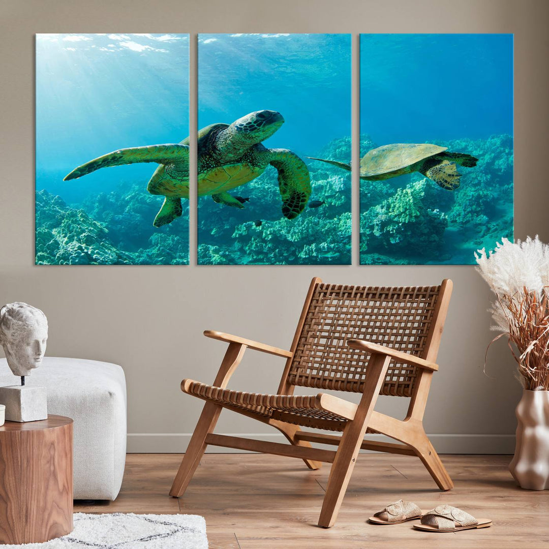 Two Beautiful Sea turtle Wall Art Canvas Print, Ocean Wild Life Print