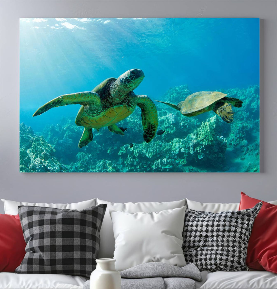 Two Beautiful Sea turtle Wall Art Canvas Print, Ocean Wild Life Print