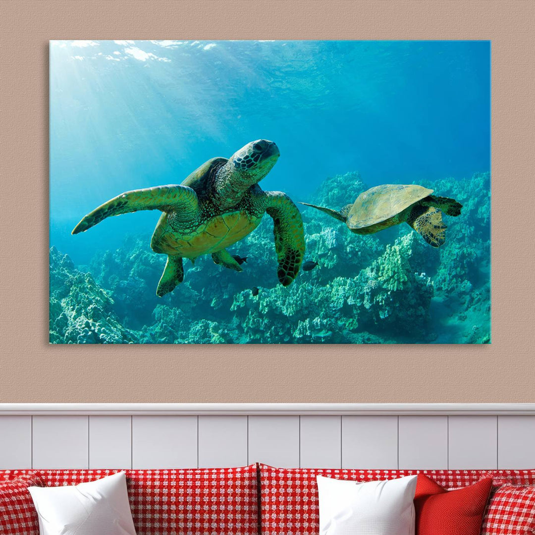 Two Beautiful Sea turtle Wall Art Canvas Print, Ocean Wild Life Print