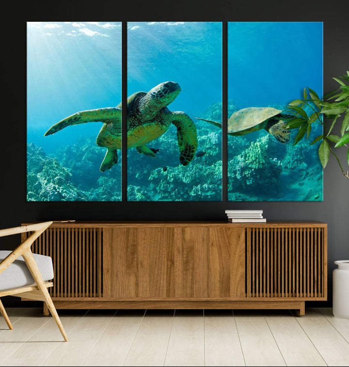 Two Beautiful Sea turtle Wall Art Canvas Print, Ocean Wild Life Print