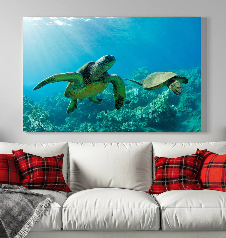 Two Beautiful Sea turtle Wall Art Canvas Print, Ocean Wild Life Print