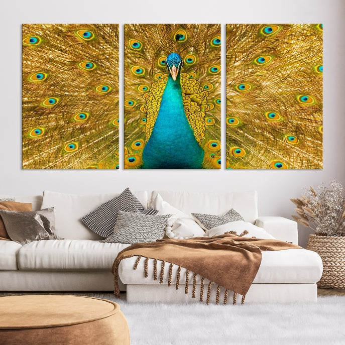 Wall Art Peacock Canvas Print, Peacock Feather Wall Art Canvas Print