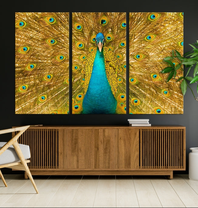 Wall Art Peacock Canvas Print, Peacock Feather Wall Art Canvas Print